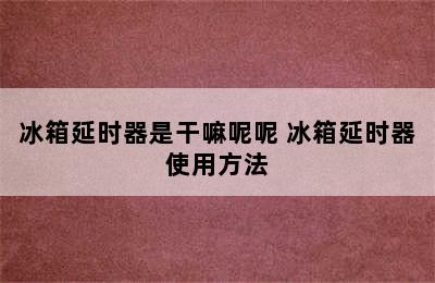 冰箱延时器是干嘛呢呢 冰箱延时器使用方法